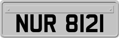 NUR8121