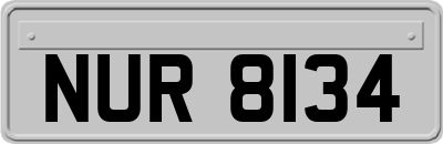 NUR8134