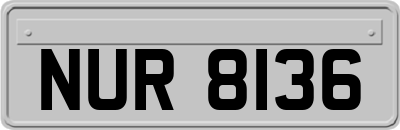 NUR8136