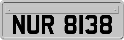 NUR8138