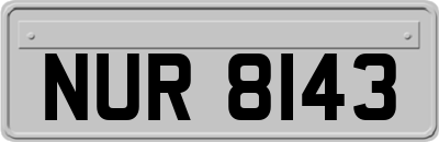 NUR8143