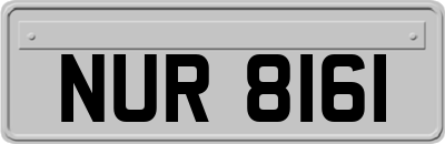 NUR8161