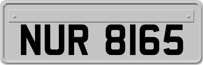 NUR8165