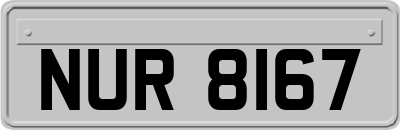NUR8167