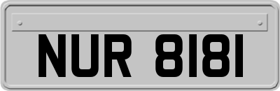 NUR8181
