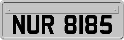 NUR8185