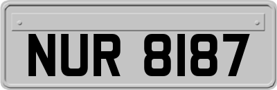 NUR8187