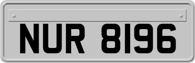 NUR8196