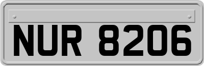 NUR8206