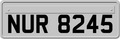 NUR8245