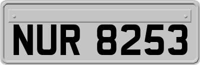 NUR8253