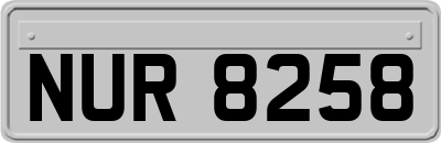 NUR8258