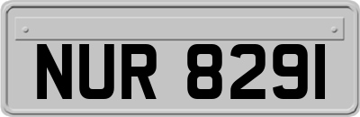 NUR8291