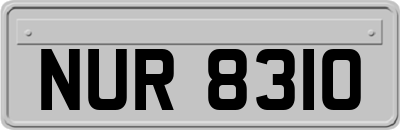 NUR8310