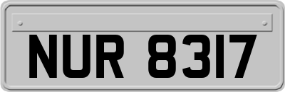 NUR8317