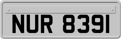 NUR8391