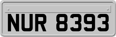 NUR8393