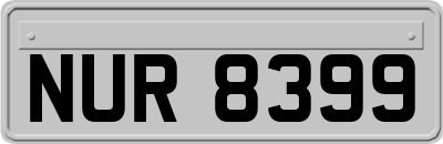 NUR8399