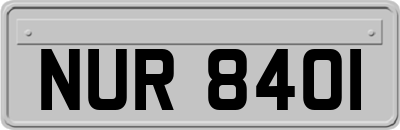NUR8401