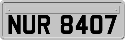 NUR8407