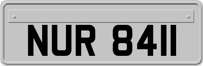 NUR8411