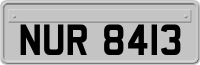 NUR8413