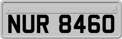 NUR8460
