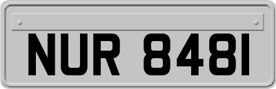 NUR8481