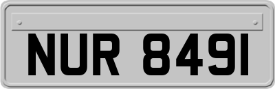 NUR8491