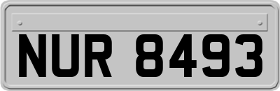 NUR8493