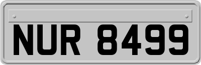 NUR8499