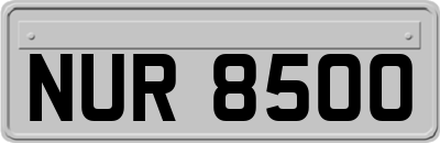 NUR8500