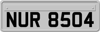 NUR8504