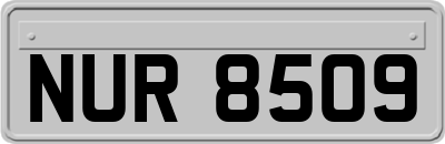 NUR8509