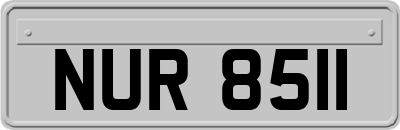 NUR8511