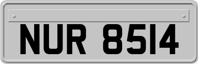 NUR8514