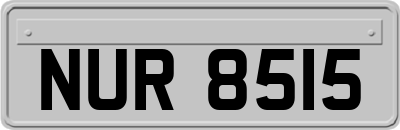 NUR8515