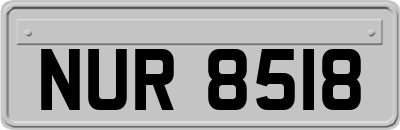 NUR8518