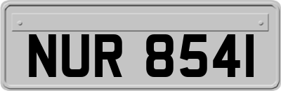 NUR8541