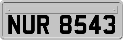 NUR8543