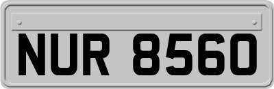 NUR8560