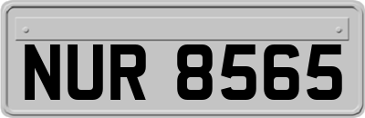 NUR8565
