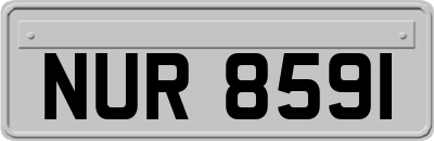 NUR8591