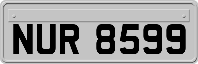 NUR8599