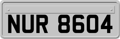 NUR8604