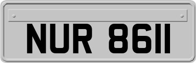 NUR8611