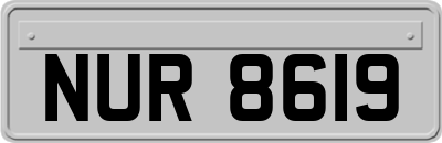 NUR8619