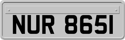 NUR8651