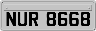 NUR8668