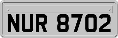 NUR8702